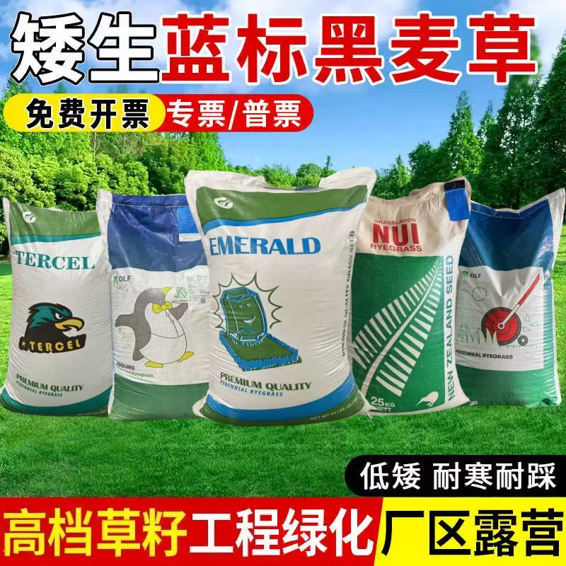 黑麦草种子多年生护坡白三草籽高羊茅早熟禾耐寒耐旱绿化草坪籽种