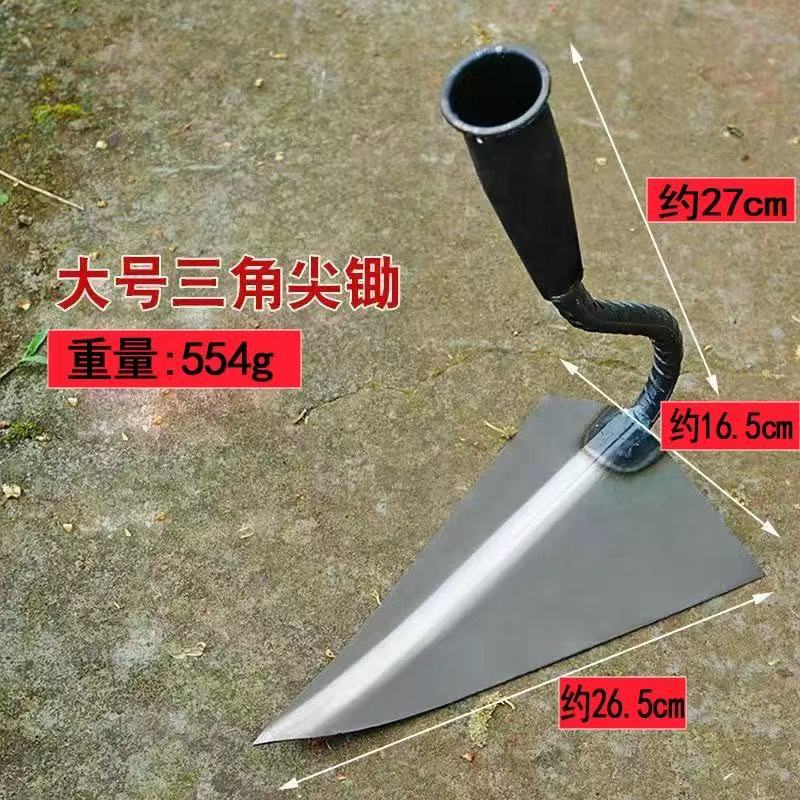 微信图片_202504011027013.jpg