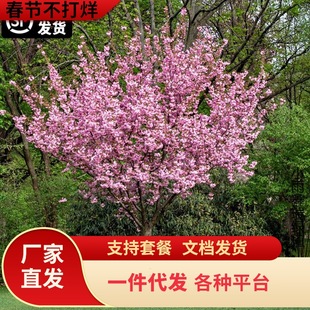 һ�����l�ѻ�����ͥԺ�Nֲ���Թ��̨�ͺ����ܾGֲ�ߗU�ձ��ذ�