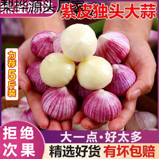 �F����Ƥ���^�����r����tƤ���^�������l��2025�����߲˿羳