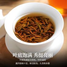 红茶叶批小种金骏眉23新茶叶浓香型网红茶直播批发源工厂一件批发