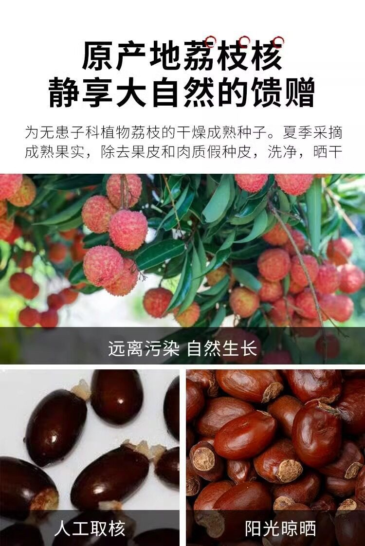 Dried Lychee Seed Li Zhi He 250g Traditional Chinese Herb for Decoctions and Herbal Teas quality and texture