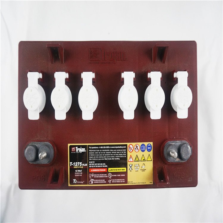 邱健蓄电池5SHP-GEL T105/T125升降机高空作业观光车高尔夫球车