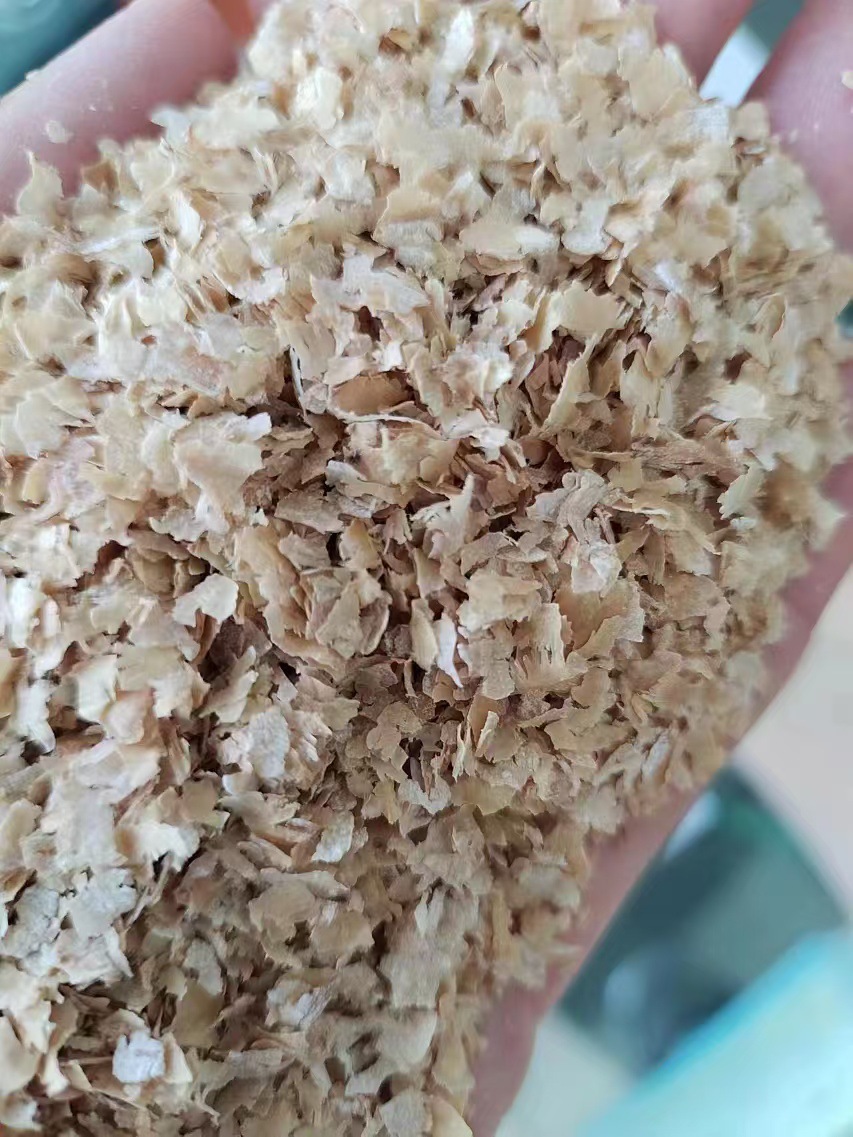 微信图片_202411201424241