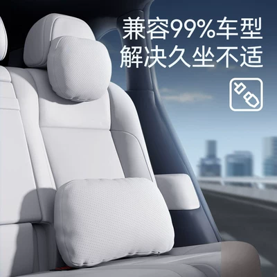 Neck and Waist Protection, Essential, Headrest