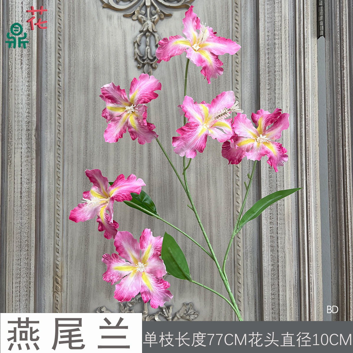 스왈로우테일 BD 로즈 레드