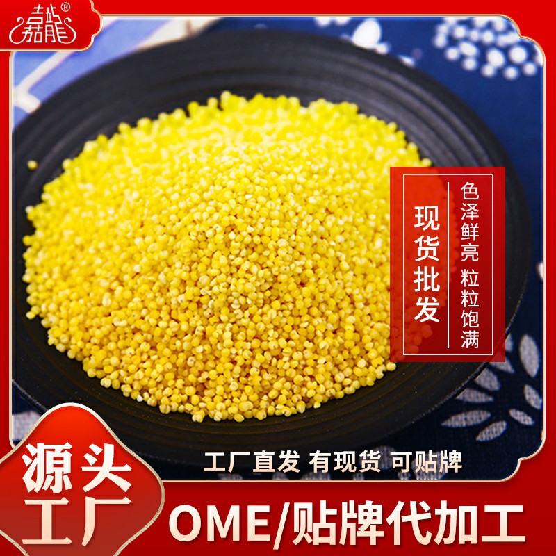 A generation of millet 500g vacuum packaging grains farm fragrant glutinous Inner Mongolia Chifeng yellow millet wholesale