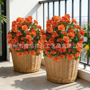 ���R�d���滨���N���ز����컨��ӳɽ�t��������ͥԺ�쾰��ػ���