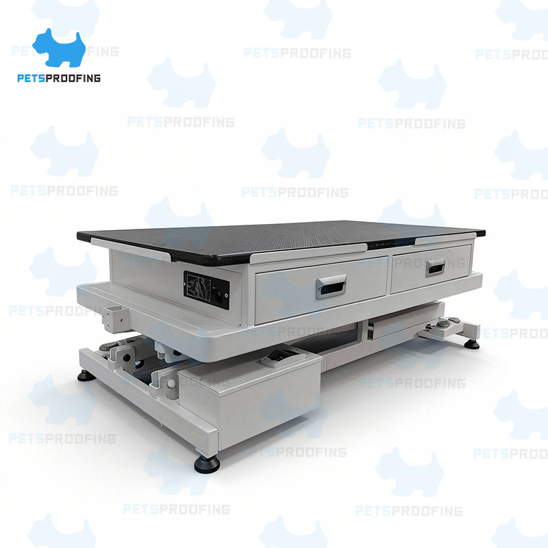 Cajón de acero inoxidable elevación eléctrica de mesa de belleza de cajón de acero inoxidable para mascotas con el mismo tipo de mesa de trabajo de proyecto de varios tipos de modelado