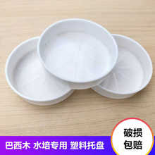 �S��ֱ�N��ɫ���ϻ�����л����бP�A�Ͱ���ľ�Ƅӵ��������ˮ�P