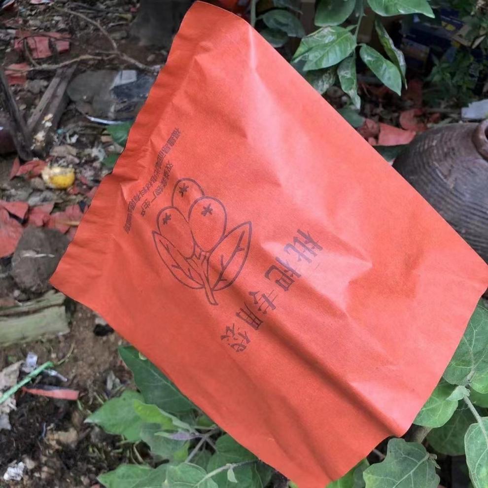 9800d184-c1fb-4155-ab36-e8003cf6f09b.jpe