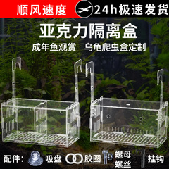 水槽隔離箱闘魚観賞透明仕切り箱水培緑植水草壁掛け式アクリル繁殖かご