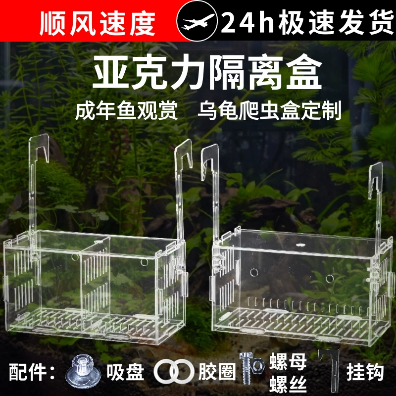 Изолирующая коробка для аквариума, коробка для разделения рыбок бетта, гидропонные зеленые растения, водные растения, акриловая корзина, коробка для разведения, инкубатор.
