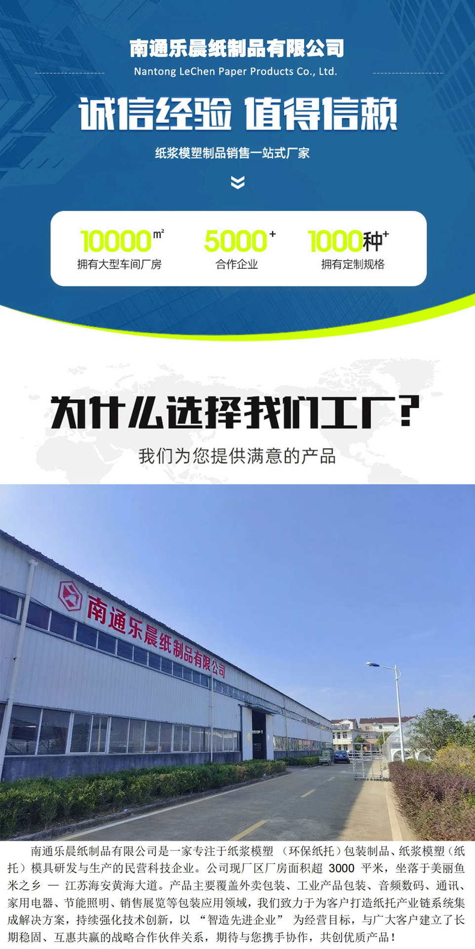 综合模版_01