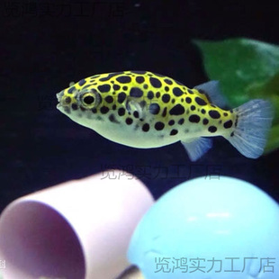 �~���ݺ�������羳�S��ֱ�N��ˮ�~С�~�����Ꭷ�~�^�p�~�ɿ���