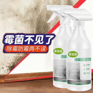 Household Mildew Remover for Walls Indoors to Prevent Mold Growth Outdoor Wall Painting Mildew Prevention Spray