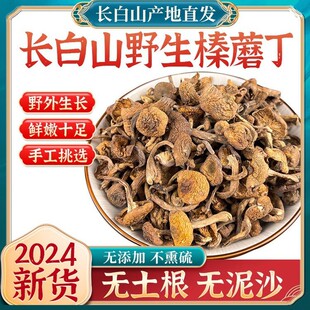 2024��؛�L��ɽ�خa��Ұ���Ģ�|��С�u��Ģ������؛�o��ȥ��500g