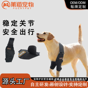 Pet Protective Gear, Dog Elbow Pads, Injury-Assisting Knee Pads, Leg Joint Pain Relief, Special for Post-Surgery Recovery