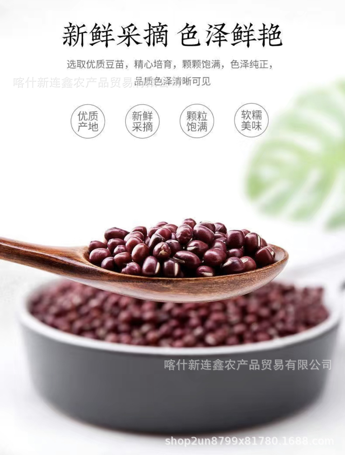 FC882CF6BA0DA2492F8667CCD23E2E