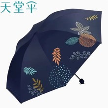 Â33901Eҹz⾀ꖂÂpɱyŮ