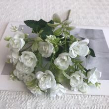 ���Q���l����15�^Сõ������羳�ҾӾƵ�����b�С�ѻ����{�廨