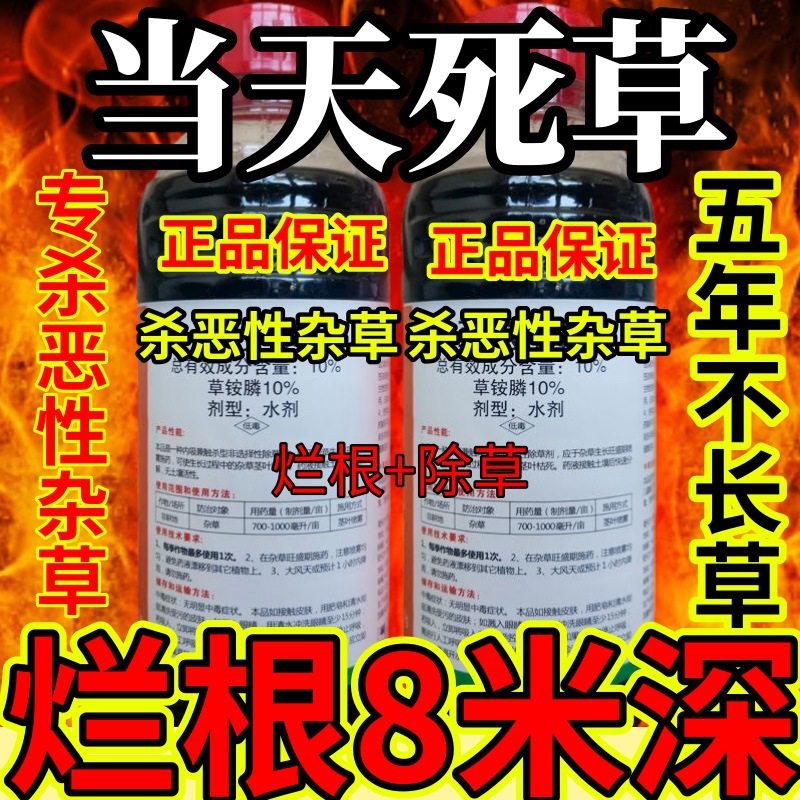 杀草快高浓度精草铵膦铵盐果园牛精草小飞蓬各种杂草全当天死草
