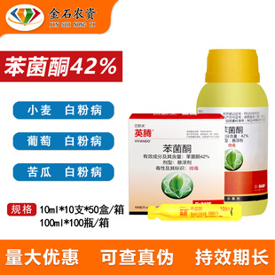 ��˹��Ӣ�v�S�ϲ�ݮ�����߲�ˮ���@ˇ����ϰ׷۲������rș10ml