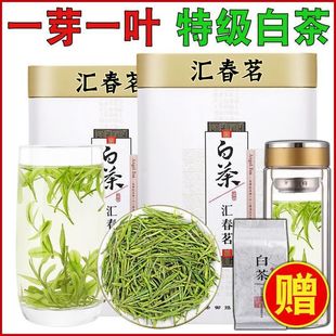 2024�²衾�R�����ؼ��ײ衿���ڝ�������ϡ�ײ��~���bɢ�b�Y���b