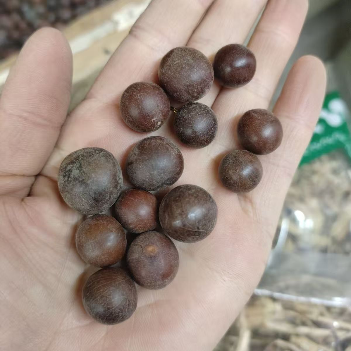 Sun Fruit (Tai Yang Guo) — Dried Food Herb for Cooking & Herbal Soups, 500g specifications