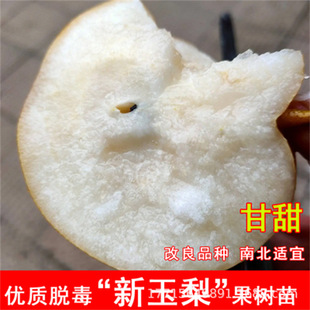 �������ּt����¶��������S������젖���������������������l