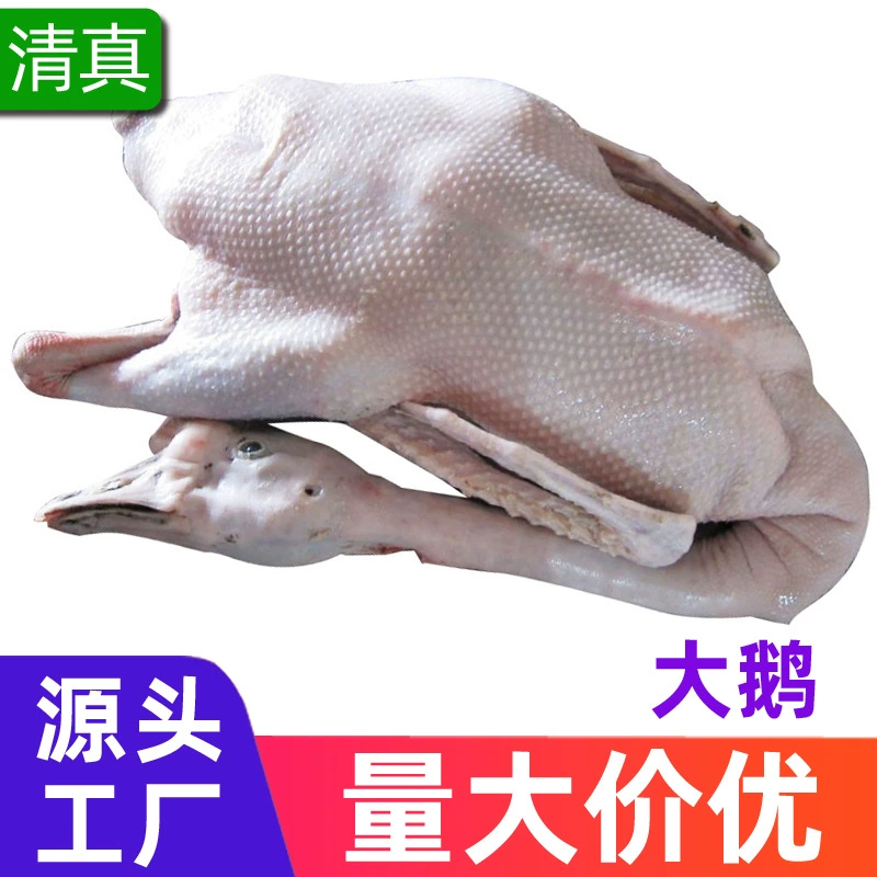 Целая тушка белой гусины мяса оптом, крупная белая гусиная тушка свободного выгула, тушеные кусочки гуси в железной посуде, для хот-пота, замороженные, премиум-сорт.