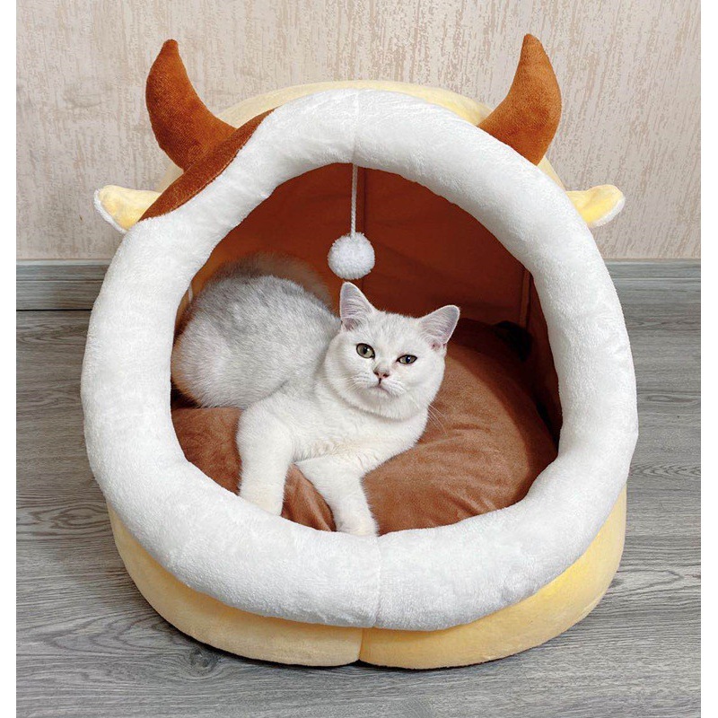 맹맹 소 다크 브라운 새로운