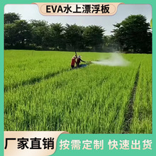 源头工厂eva种植板水稻蔬菜水培定植水稻浮床EVA鱼菜共生种植漂浮