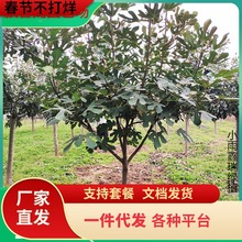 һ�����l�o��������玧���򰫻����Ե����ϱ����Nֲ����Y���ش�