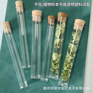 Gypsophila Test Tube Dried Flower Specimen Trinket DIY Toy Gift Pc Transparent Plastic Packaging Tube Will Not Break