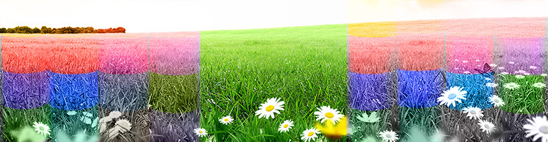 1920x500cabdlecolour.jpg