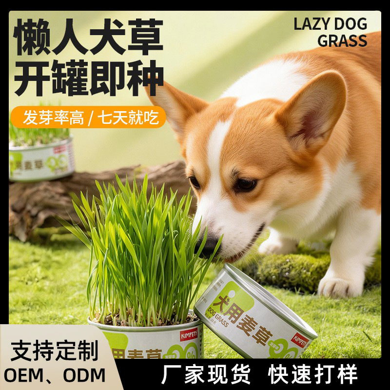 Dog Grass for Dogs, Wheat Grass for Dogs, Dog-Specific Grass Snacks, Aids Digestion, Natural Hairball Remedy, Easy-To-Grow Soil-Free Dog Grass