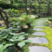 青石板踏步园林汀步庭院地砖花园草坪垫脚户外防滑铺路脚踏石