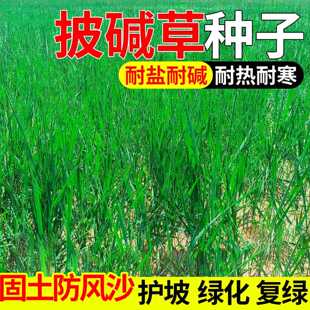 ���|�ݷN���o�¹������ѻ�ɽ���}�|��ƺ�N���ļ������ͺ�â�����