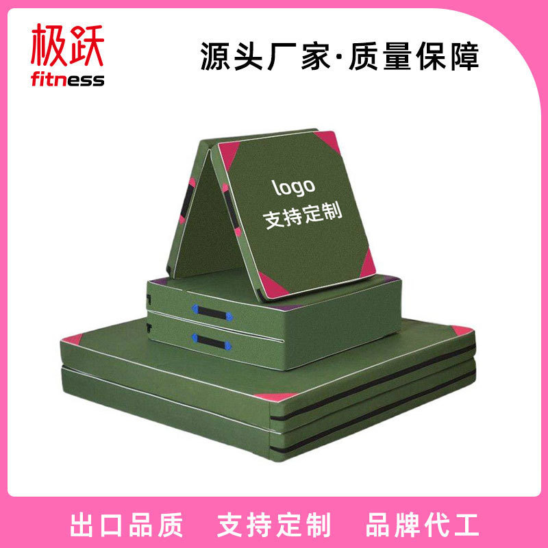 Gymnastics Mat Training for Middle School Entrance Exam, Sit-Ups Mat, Foldable Gymnastics Mat for Exercise, Fitness, Dance Training, and Somersault Mat