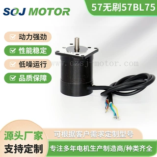 57BL75直流无刷电机24v48v3000转转速可定制淞杰厂家直销
