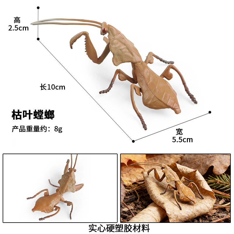 M--2840 dead leaf mantis