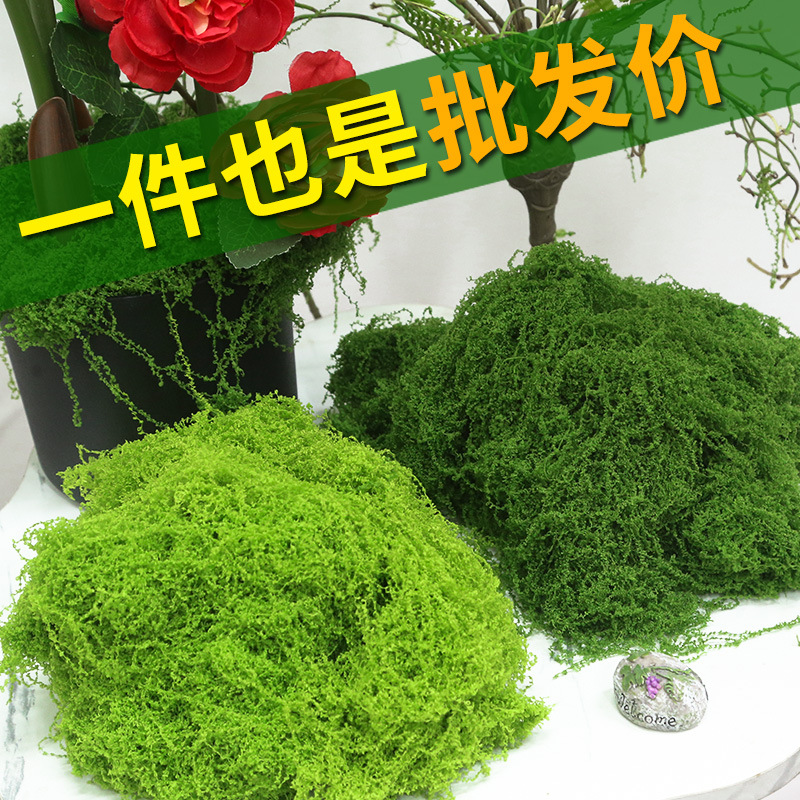 微景观仿真苔藓丝状苔藓diy人造苔藓青苔草坪装饰造景景观绿化