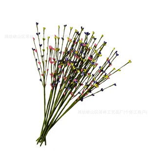 �羳���洺�����С�{���҃Ȕ[���b�Ʒ�����֦�{����ʾGֲ�{��