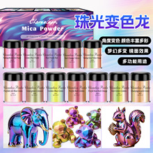 厂家现货 5克12色光学变色龙粉随光而变塑料油墨流麻汽车改色专用