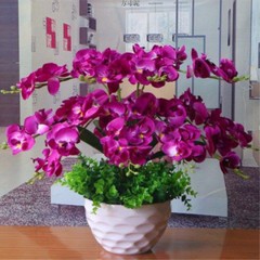 Flower phalaenopsis set fake flowers living room bed ornaments fake flowers decoration plastic flowers dried flowers silk flowers fake flowers