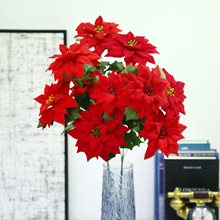 �S��ֱ�����ƿ��}�Q��֦ �Ĕz���߼Ҿ��b�c�zӰ�[�����滨