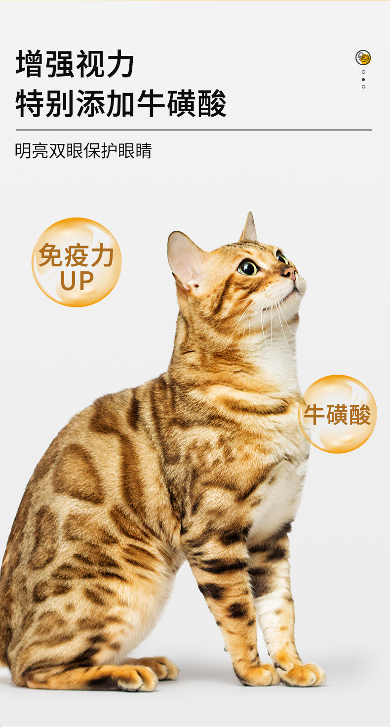 7739c8a7-5f85-405f-bfc6-8b2a0e4d48e1.jpe