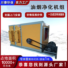 工业静电油烟净化器商用静电式厨房油烟分离器酒店餐饮油烟净化器