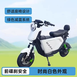 其他非机动车;电动滑板车;其他电动车